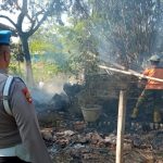 Masak Pakan Ternak Lalu Ditinggal, Kandang Berikut 2 Ekor Sapi, 4 Ekor Kambing Ludes Terbakar