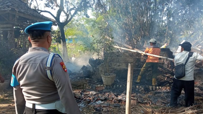 Masak Pakan Ternak Lalu Ditinggal, Kandang Berikut 2 Ekor Sapi, 4 Ekor Kambing Ludes Terbakar