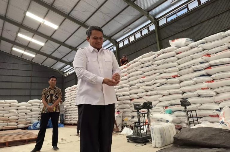 Antisipasi Dampak El Nino, Bulog Percepat Realisasi Impor Beras,