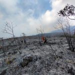 Kondisi kebakaran lahan semak belukar dan rerumputan di lereng Gunung Arjuno, Kabupaten Malang, Jawa Timur, Minggu (27/08).