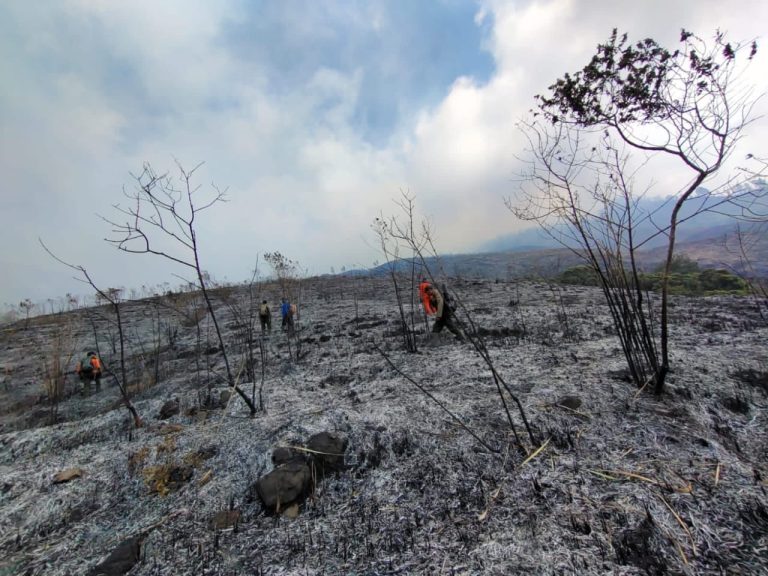 Kondisi kebakaran lahan semak belukar dan rerumputan di lereng Gunung Arjuno, Kabupaten Malang, Jawa Timur, Minggu (27/08).