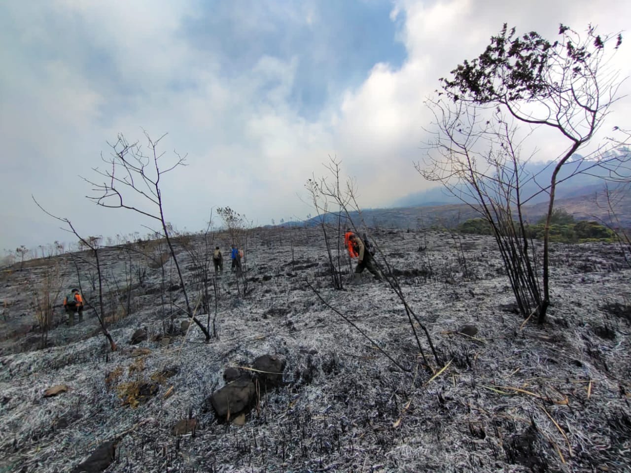 Kondisi kebakaran lahan semak belukar dan rerumputan di lereng Gunung Arjuno, Kabupaten Malang, Jawa Timur, Minggu (27/08).