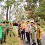 Cegah Ancaman Karhutla, Tim Gabungan Intensifkan Patroli di Kawasan Hutan Pinus
