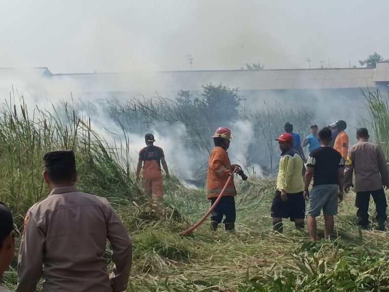 Lahan Bengkok Kelurahan Bener Terbakar, Polisi Bersama Damkar dan Warga Padamkan Api