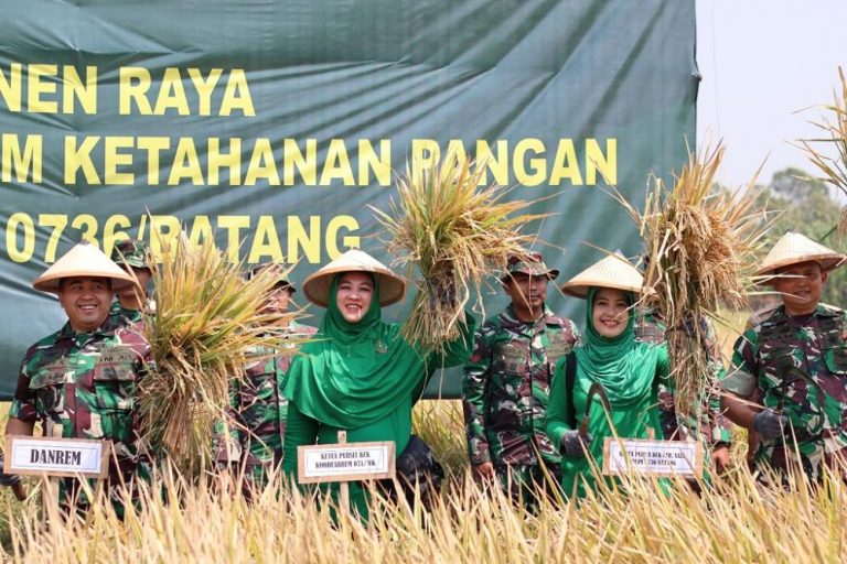 Uji Coba Berhasil, Kandungan Nutrisi Unggul Padi Protangguh Mampu Perbaiki Gizi