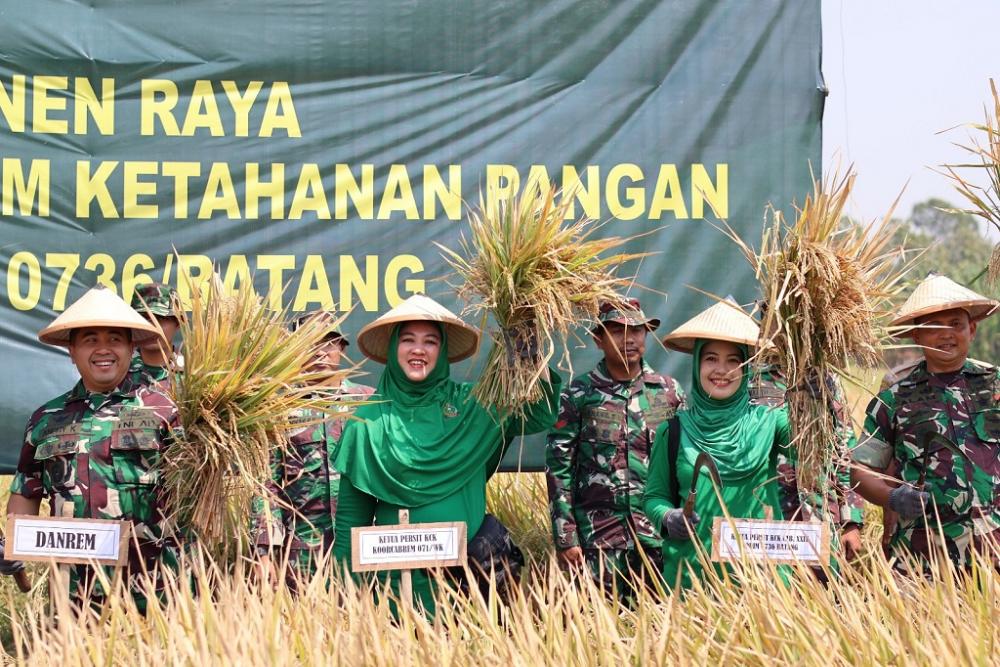 Uji Coba Berhasil, Kandungan Nutrisi Unggul Padi Protangguh Mampu Perbaiki Gizi