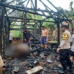 Bakar Bediang untuk Usir Nyamuk, Kandang Berikut Sapinya Hangus Terpanggang