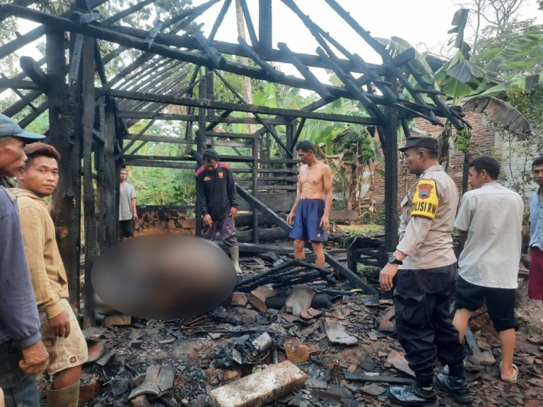 Bakar Bediang untuk Usir Nyamuk, Kandang Berikut Sapinya Hangus Terpanggang
