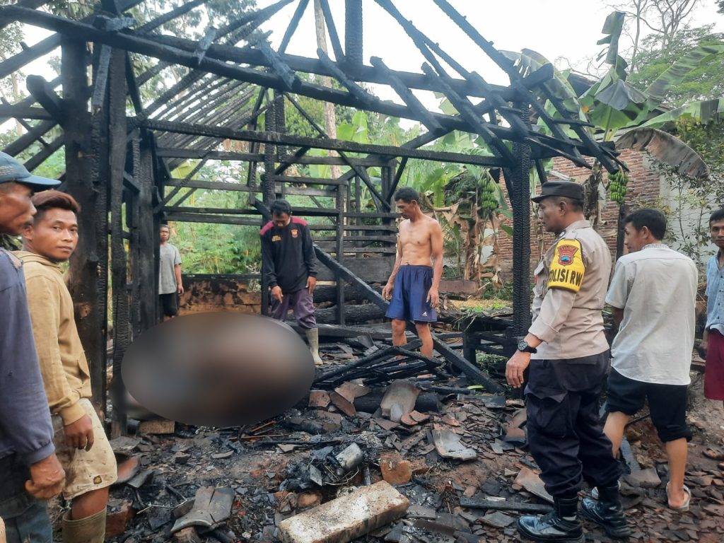 Bakar Bediang untuk Usir Nyamuk, Kandang Berikut Sapinya Hangus Terpanggang