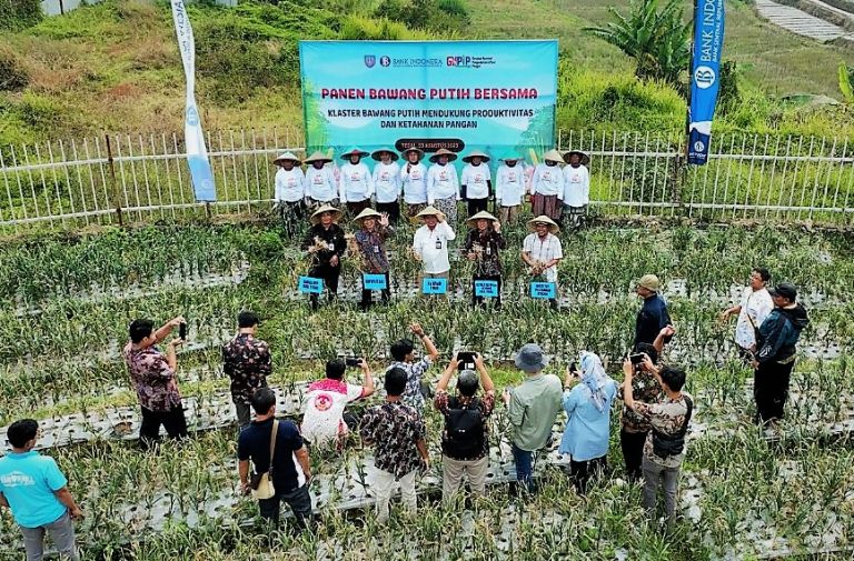 Konvergensi Pasar Mendongkrak Penjualan Bawang Putih Lokal