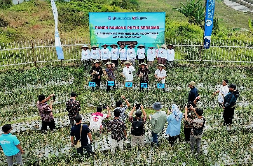 Konvergensi Pasar Mendongkrak Penjualan Bawang Putih Lokal