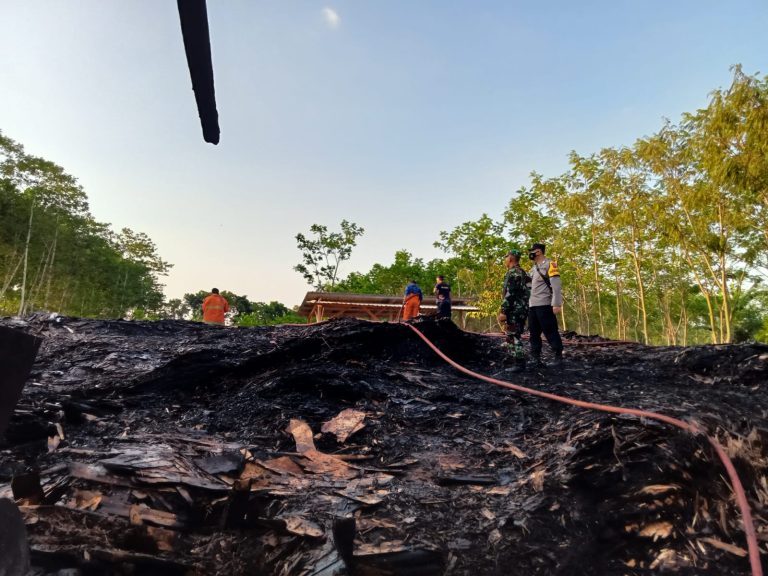 Diduga Akibat Korsleting Listrik, Depot Kayu di Kajen Pekalongan Terbakar