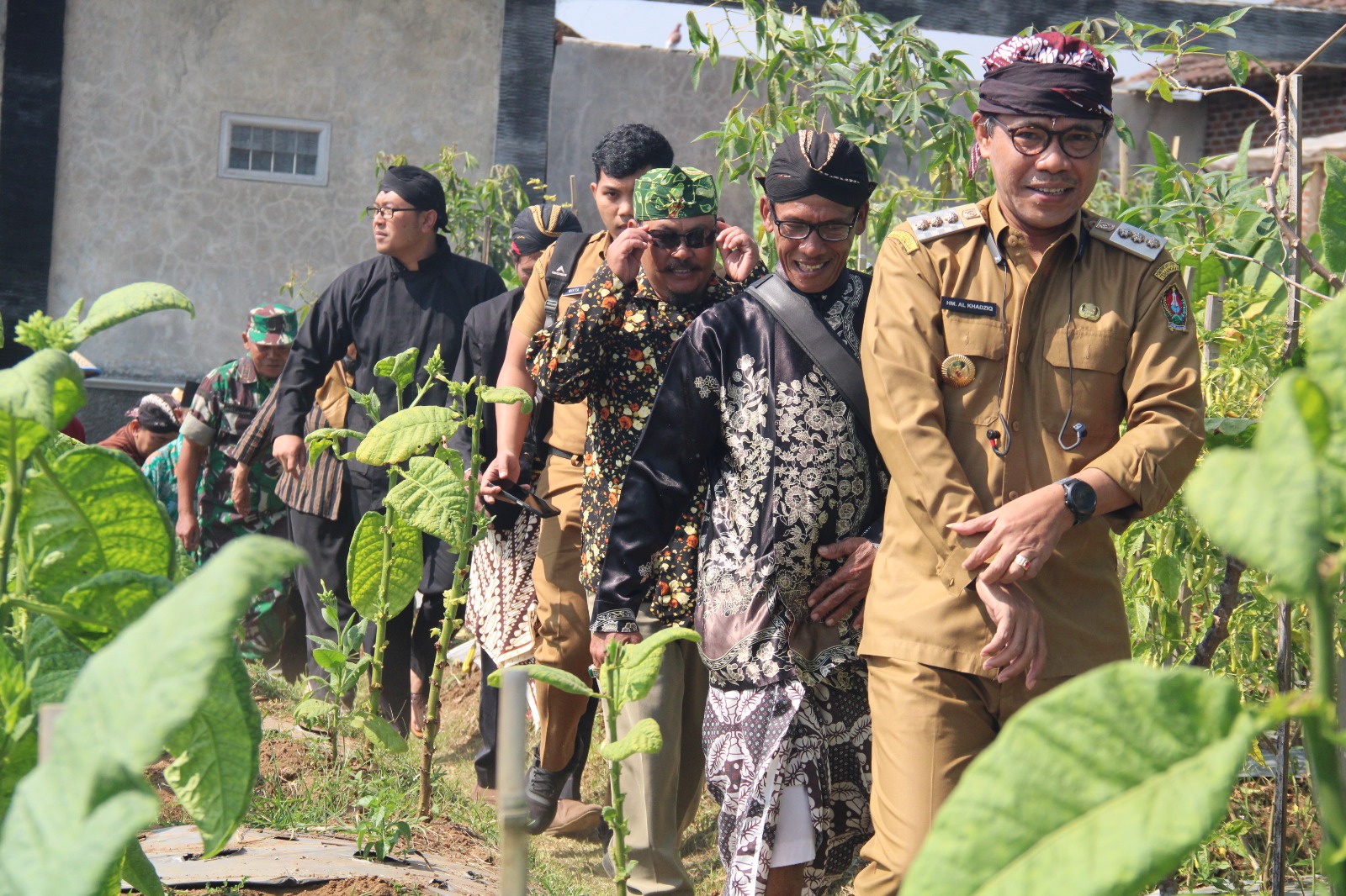 Berharap Panen dan Harga yang Baik, Petani Gunung Prau Gelar Wiwit Panen Tembakau