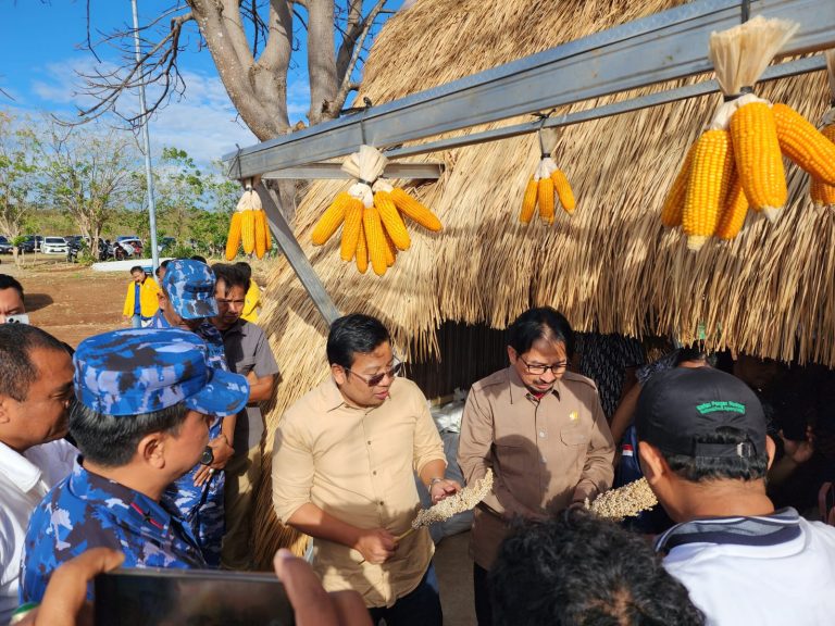 NFA: Indonesia yang Terdiri dari Kepulauan Butuh Konektivitas Pangan yang Kuat dan Stabil