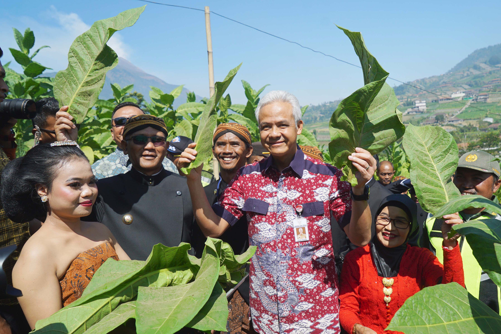 Awali Panen Tembakau, Petani Lereng Merbabu Gelar Prosesi Tungguk Tembakau