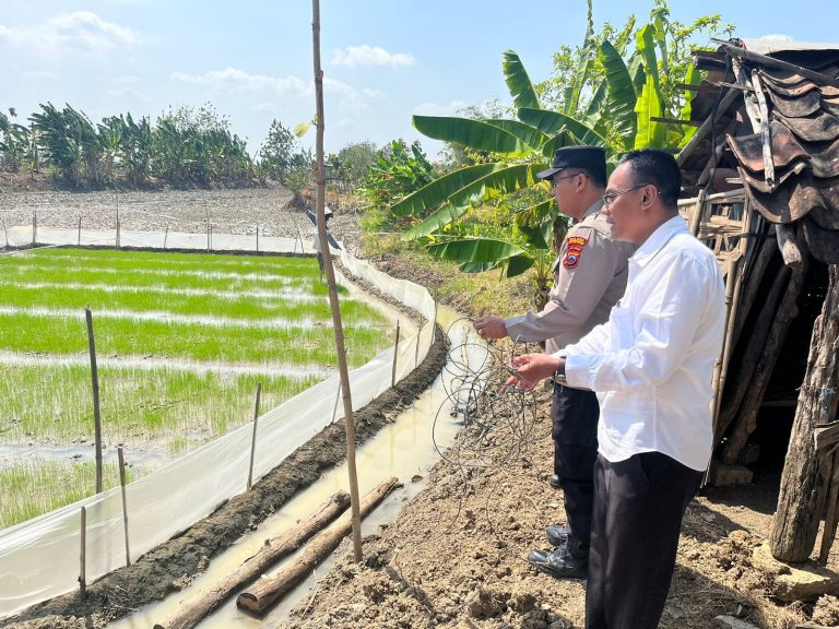 Listrik Jebakan Tikus Makan Korban, Petani di Grobogan Tewas Oleh Jebakannya Sendiri (Foto: Dok Humas Polres Grobogan)