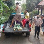 Lansia Pikun Warga Desa Rowocacing Ditemukan Meninggal di Sawah 
