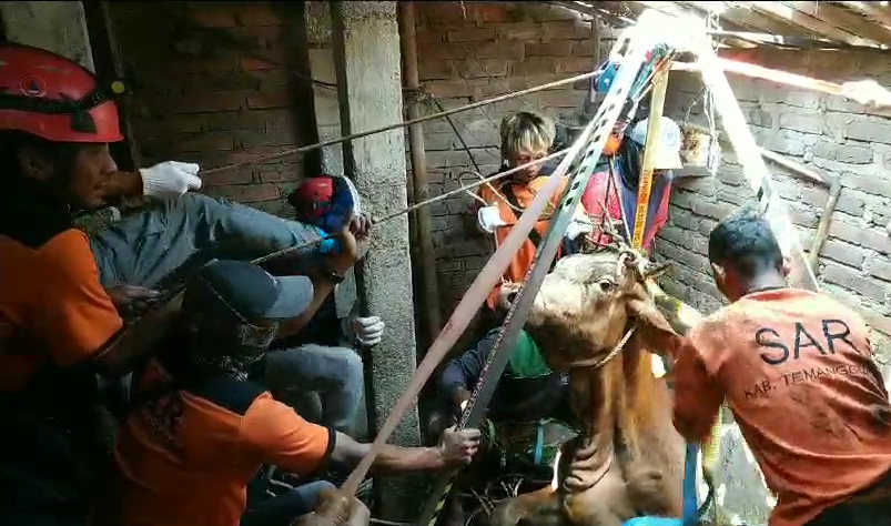 Tak Hanya Mengevakuasi Manusia, BPBD Temanggung Selamatkan Sapi yang Tercebur Sumur (Foto: Dok Pemkab Temanggung)