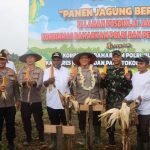 Kakorbinmas Baharkam Polri Tinjau Program Food Estate di Papua (Foto: Dok Divisi Humas Polri)