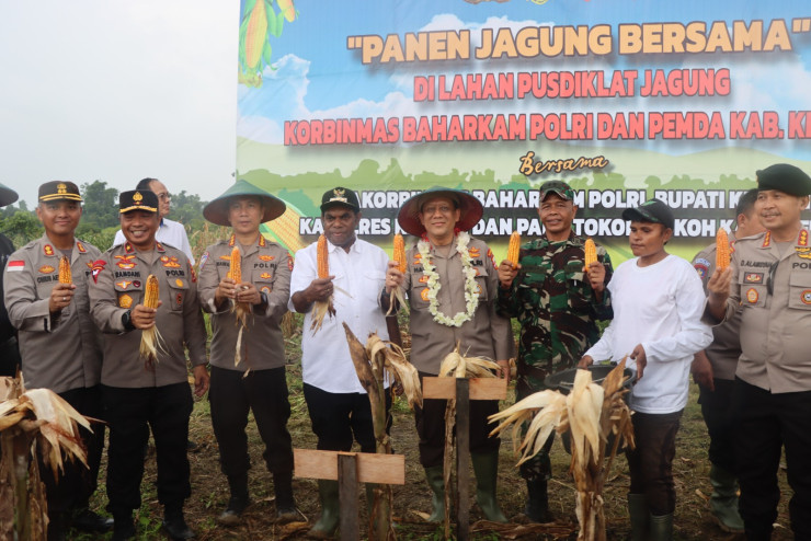 Kakorbinmas Baharkam Polri Tinjau Program Food Estate di Papua (Foto: Dok Divisi Humas Polri)
