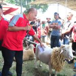 Ratusan Hewan Ternak Ikuti Kontes dan Expo Ternak Cilacap 2023 (Foto: Dok Kominfo Cilacap)