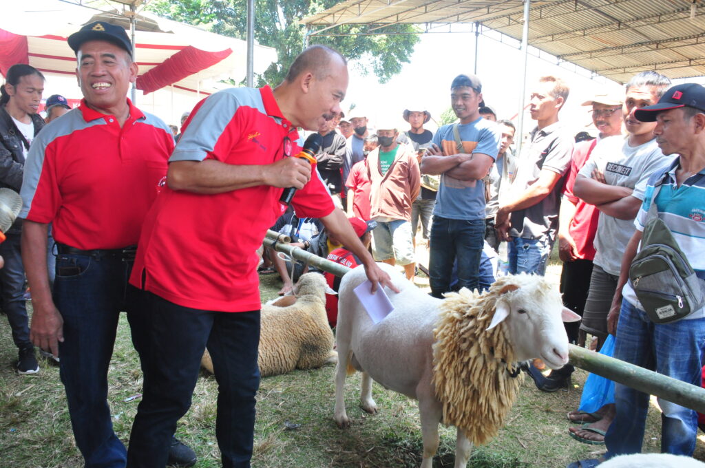 Ratusan Hewan Ternak Ikuti Kontes dan Expo Ternak Cilacap 2023 (Foto: Dok Kominfo Cilacap)