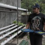 Hari Tani Nasional, Pemprov Terus Dorong Lahirnya Petani Milenial   (Foto: Dok Diskominfo Jateng)
