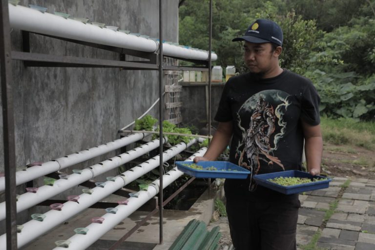 Hari Tani Nasional, Pemprov Terus Dorong Lahirnya Petani Milenial (Foto: Dok Diskominfo Jateng)