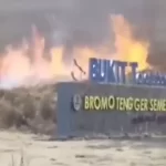 Prewedding Picu Kebakaran di Bromo, Enam Orang Diamankan Polisi