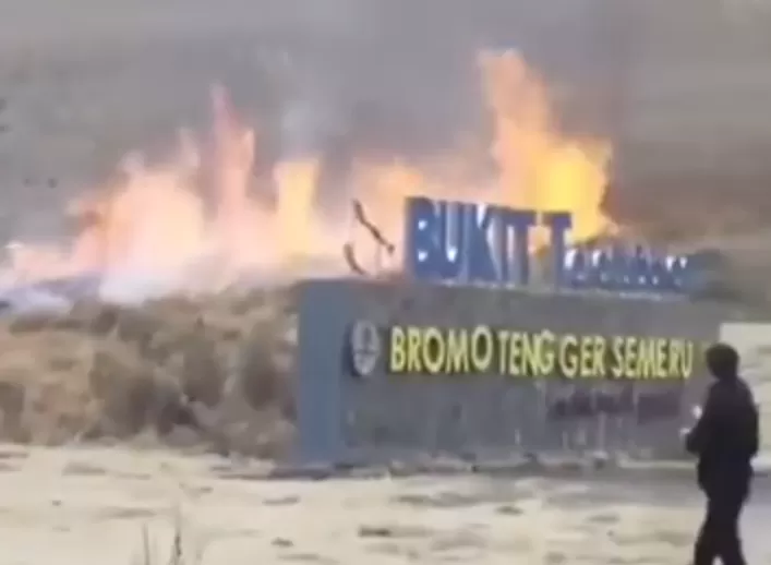 Prewedding Picu Kebakaran di Bromo, Enam Orang Diamankan Polisi