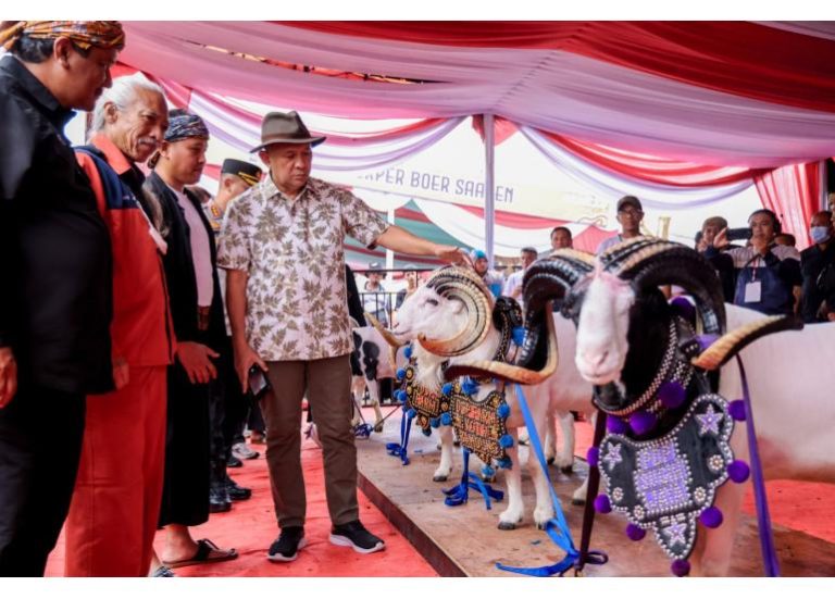 MenKopUKM Tekankan Pentingnya Konsep Bisnis Bagi Peternak Domba dan Kambing (Foto: Dok KemenKopUKM)