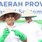 NFA Dorong Ekonomi Daerah dan Jaga Stabilitas Inflasi melalui Hilirisasi Produk Pangan