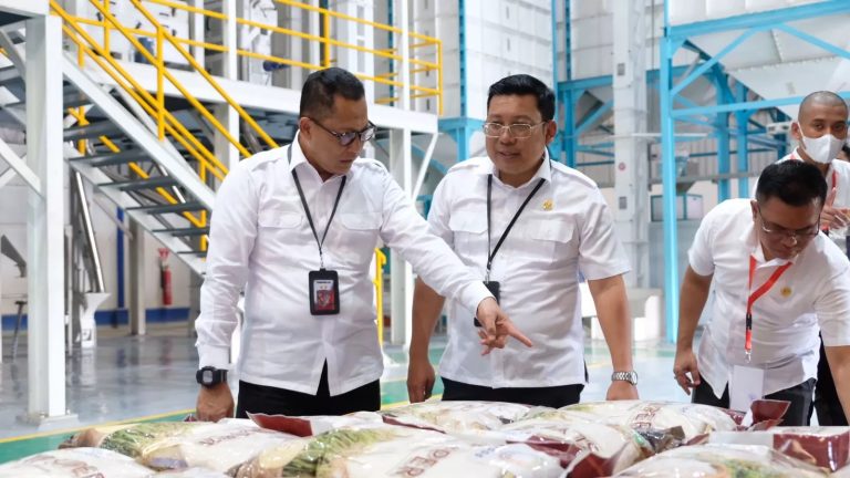 Kepala Bapanas Kunjungi Mesin Rice to Rice Bulog, Pastikan Beras Bantuan Berkualitas Baik (Foto: Dok Bapanas)