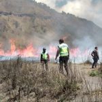 Polisi Tetapkan Satu Tersangka Akibat Kebakaran Bukit Teletubbies Bromo (Foto: DOk pmjnews)
