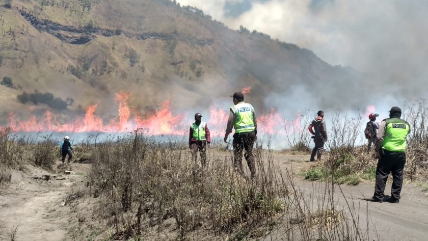 Polisi Tetapkan Satu Tersangka Akibat Kebakaran Bukit Teletubbies Bromo (Foto: DOk pmjnews)