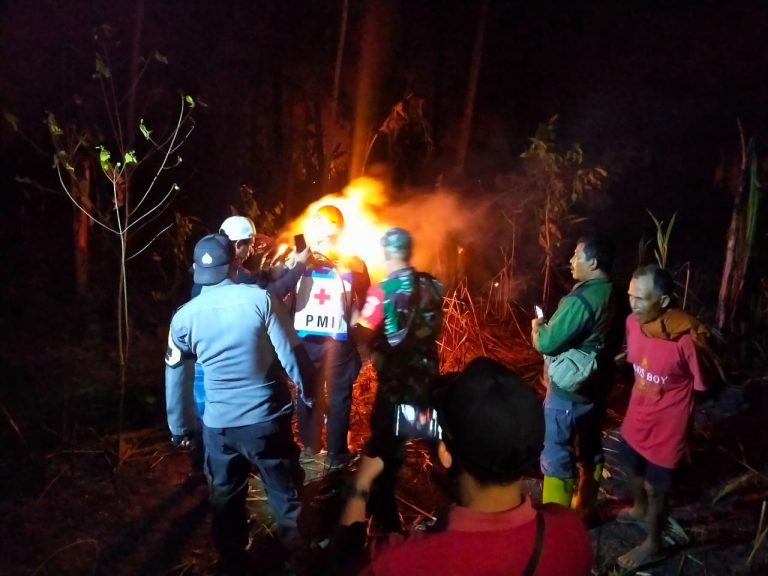 Hutan Pinus Milik Perhutani di Bojong Terbakar, Tim Gabungan Lakukan Pemadaman