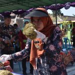 Cuaca Mendukung, Petani di Desa Brambang Kecamatan Karangawen Panen Tembakau (Foto: Dok Kominfo Demak)