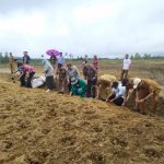 Kementerian PUPR Bangun Infrastruktur Food Estate di Humbahas, Dukung Lumbung Pangan (Foto: Dok Kementerian PUPR)