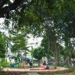 Dampak Kemarau, Taman Kota di Semarang Terus di Perbaiki (Foto: Dok Pemkot Semarang)