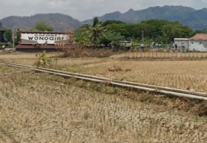 Musim Kemarau, Produksi Beras di Wonogiri Masih Surplus Hingga November (Foto: Dok Kominfo Wonogiri)