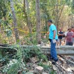 Tragis, Seorang Warga di Grobogan Tewas Tertimpa Pohon yang Ditebangnya (Foto: Dok Humas Polres Grobogan)