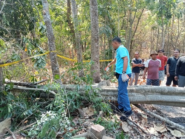 Tragis, Seorang Warga di Grobogan Tewas Tertimpa Pohon yang Ditebangnya (Foto: Dok Humas Polres Grobogan)