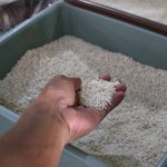 Ketersediaan Stok Cukup, Harga Beras di Blora Relatif Stabil