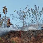 Hingga September, Kebakaran yang Terjadi Lebih Didominasi Semak Ilalang (Foto: Dok Pemkot Semarang)