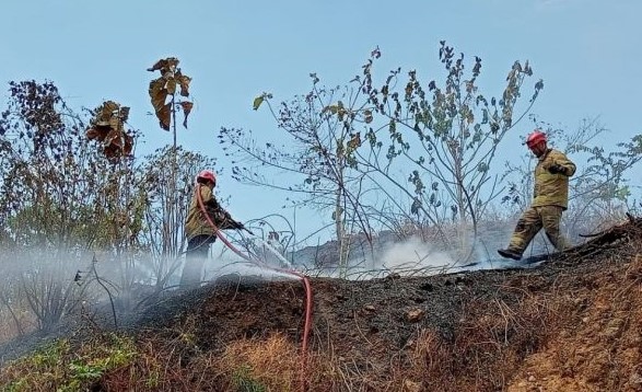 Hingga September, Kebakaran yang Terjadi Lebih Didominasi Semak Ilalang (Foto: Dok Pemkot Semarang)