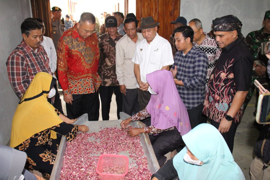 Jamin Stabilitas Produk dan Harga, Perlu Hilirisasi Bawang Merah (Foto: Dok Pemkab Brebes)