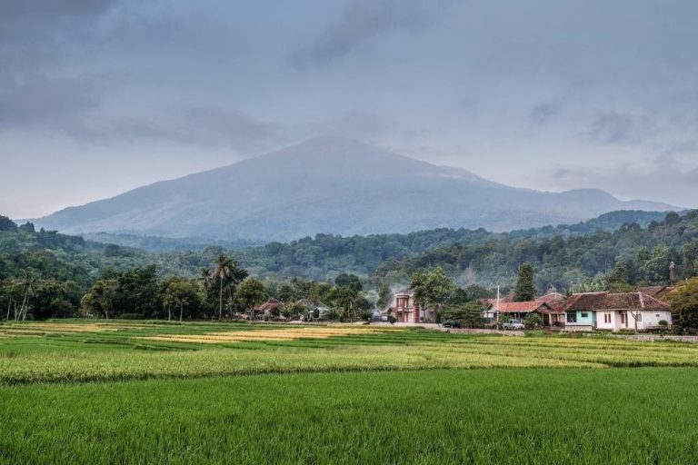Kemenparekraf-ADGI Kolaborasi Perkuat Branding Desa Wisata Ketapanrame Jatim (Foto: Dok Kemenparekraf)