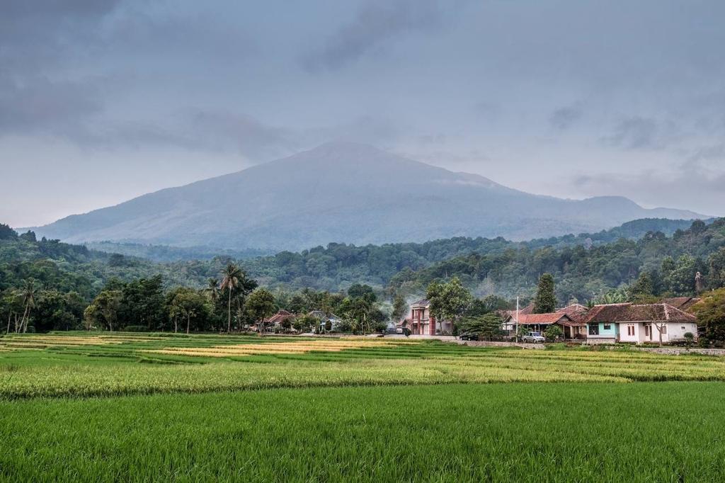 Kemenparekraf-ADGI Kolaborasi Perkuat Branding Desa Wisata Ketapanrame Jatim (Foto: Dok Kemenparekraf)