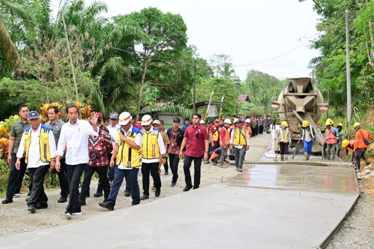 Presiden Jokowi meninjau progres penanganan IJD di Desa Agro Mulyo, Kecamatan Sepaku, Kabupaten Penajam Paser Utara, Sabtu (23/09) (Foto: Dokk BPMI Setpres)