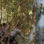 Bersama Tim Gabungan, Polisi Berusaha Padamkan Kobaran Api di Hutan Pinus Kalijoyo  (Foto: Dok Humas Polres Pekalongan)
